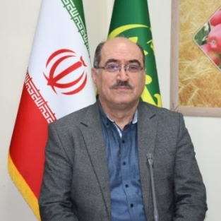 نادر نقیلی