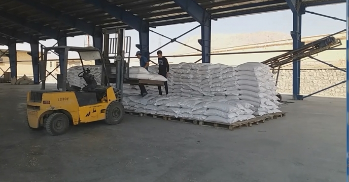 پایان عملیات بوجاری بذر جو شرکت خدمات حمایتی کشاورزی استان چهار محال و بختیاری