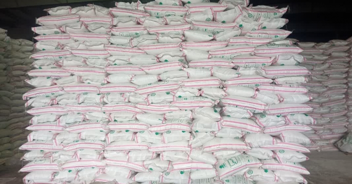 تأمین و  توزیع بیش از600 تن کود اوره در شهرستان آوج توسط شرکت خدمات حمایتی کشاورزی استان قزوین
