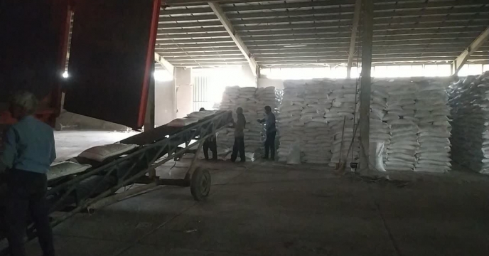 پتروشیمی رازی، تامین‌کننده ۱۴۲۸ تن کود اوره برای کشاورزان  استان همدان