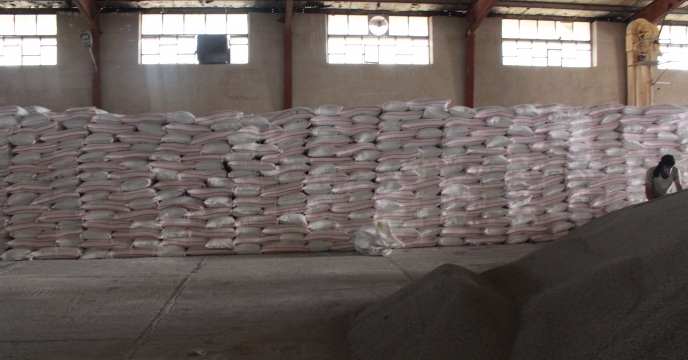 تأمین و توزیع بیش از 38 هزار و 755 تن کود کشاورزی اوره در استان ایلام