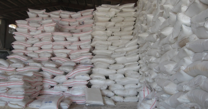 حمل و توزیع 532 تن کود کشاورزی کلرور پتاسیم بین کشاورزان شهرستان دهلران