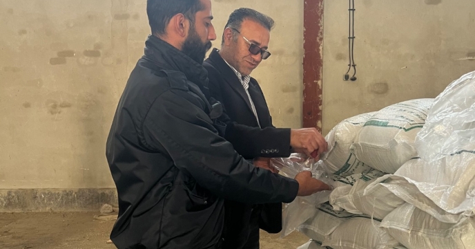 نمونه برداری از کود کشاورزی سولفات پتاسیم گرانول در استان ایلام در شهریور ماه سال جاری