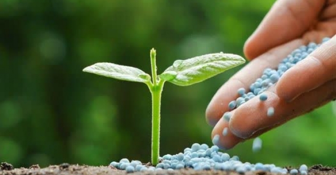 اوراق بانک کشاورزی راهکار کاهش نقدینگی کارگزاران کود