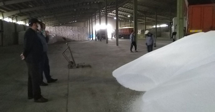 اجرای بیش از ۱۱۴ عملیات پایش میدانی در همدان از ابتدای سال جاری توسط کارشناسان شرکت خدمات حمایتی کشاورزی