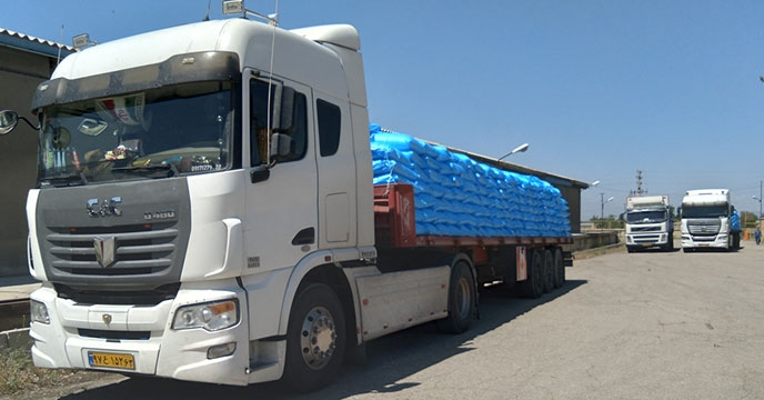 توزیع 850 تن کود ازت در شهرستان درگزین توسط شرکت خدمات حمایتی کشاورزی استان همدان