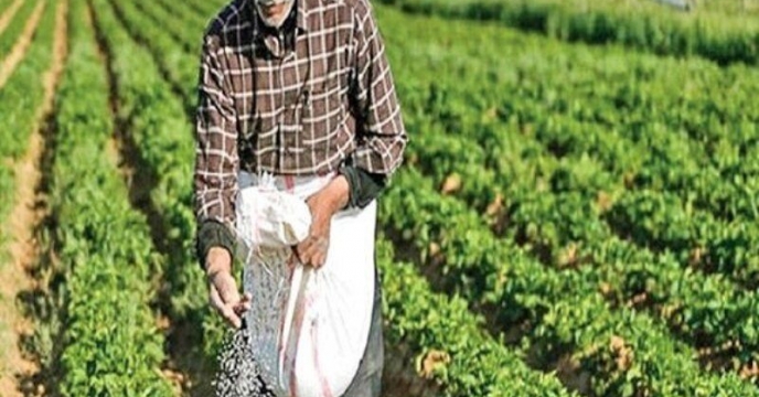 با ابلاغ تفاهم نامه همکاری ، تولیدکنندگان داخلی کود نقش پررنگ تری در تامین نیازهای کشاورزی ایفا می کنند