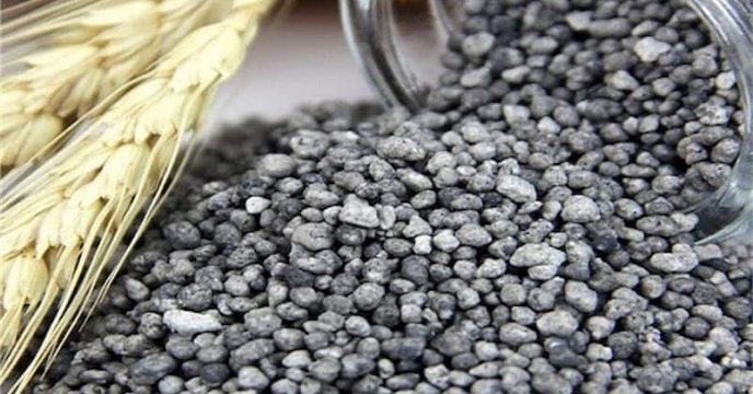 تقویت بنیه محصولات کشاورزی در آذربایجان شرقی با توزیع 5650 تن کود فسفات