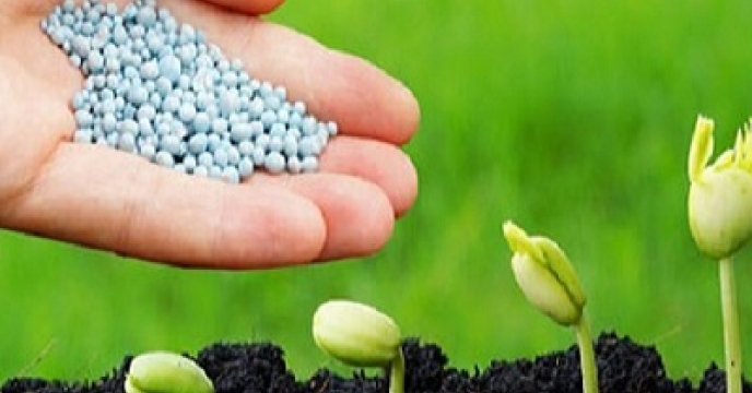 توزیع بیش از 32 هزار تن انواع کود کشاورزی در جنوب استان کرمان؛ گامی موثر  در جهت افزایش بهره وری محصولات 