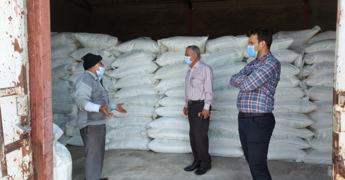 بازدید مدیر شرکت خدمات حمایتی کشاورزی استان بوشهر از کارگزاری تعاونی روستایی شهر بردستان شهرستان دیر