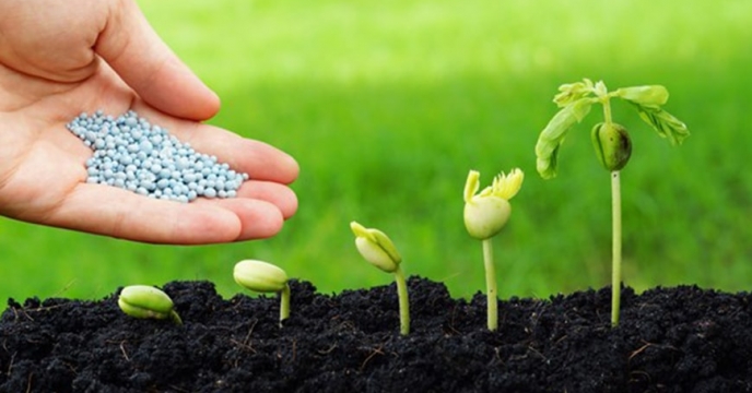 روند افزايشي تأمين کود شيميايي در گلستان