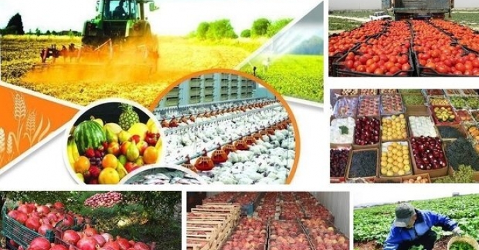 گزارش جامع توزیع نهاده‌های یارانه ای برای محصولات زراعی و باغی استان قم