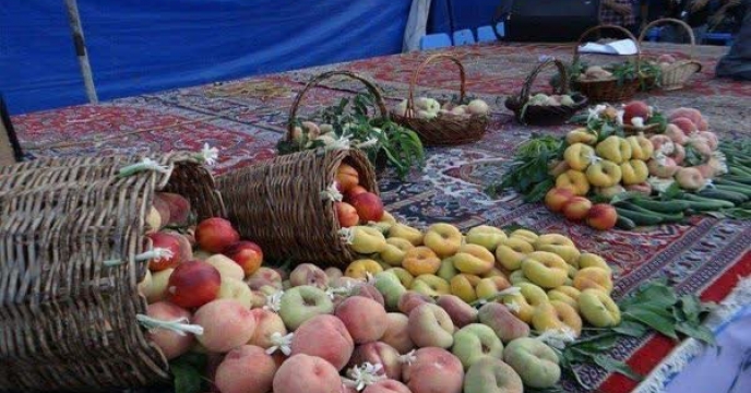 از نهاده تا توسعه زنجیره باغی؛ اسدآباد در مسیر رونق تولید