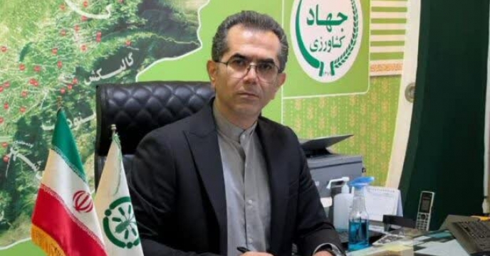 کمبود فسفر در خاک منجر به کاهش رشد و سلامت گیاه و کاهش عملکرد محصول شود