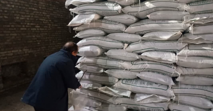 نمونه‌برداری از کود سولفات پتاسیم گرانوله توسط شرکت خدمات حمایتی کشاورزی استان قزوین