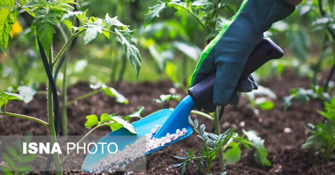 ۷۸ درصد نیاز کودی گلستان تأمین شد/ ذخیره ۶۵۰۰ تنی نهاده‌های کشاورزی