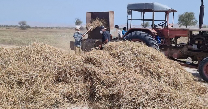 تأمین کود کشاورزی؛ پشتوانه توسعه زراعت در غرب هرمزگان