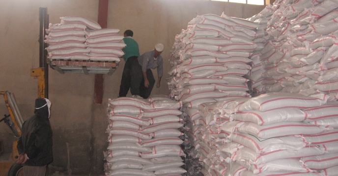 ارسال و توزیع 1 هزار و 697 تن کود کشاورزی یارانه ای به شهرستان مهران