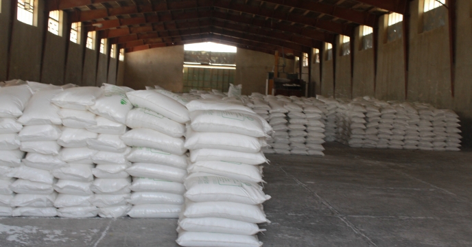 حمل و توزیع بیش از 1 هزار و 268 تن کود کشاورزی در شهرستان چرداول