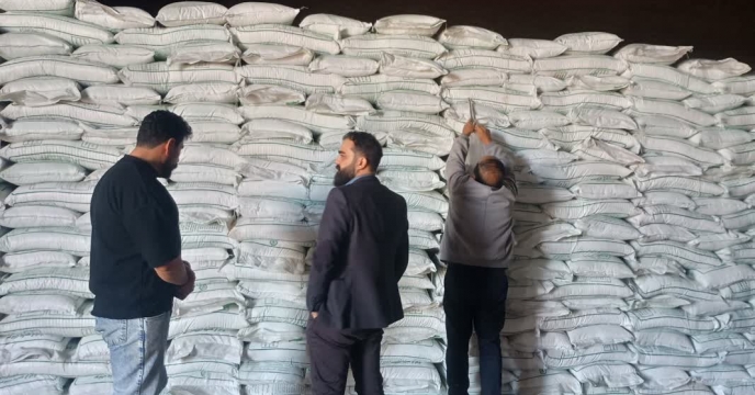 نمونه‌برداری از کود سولفات پتاسیم  گرانوله توسط شرکت خدمات حمایتی کشاورزی استان قزوین