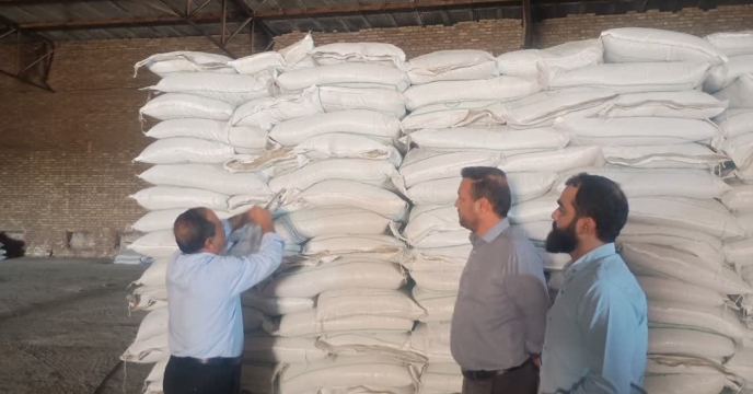 نمونه‌برداری از کود سوپر فسفات ساده گرانوله توسط شرکت خدمات حمایتی کشاورزی استان قزوین