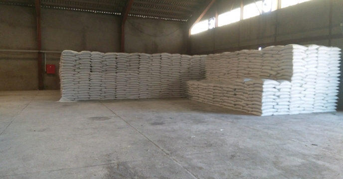 تامین به موقع کود های فسفاته در پنج ماهه سال98  تصمیم  گیری به موقع مسئولان در سطح ملی و استانی