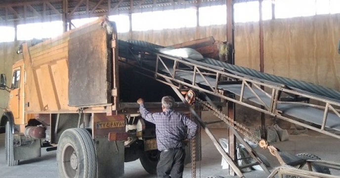 تامین و توزیع حدود 3 هزار و 350 تن انواع نهاده کشاورزی در شهرستان سلطانیه  