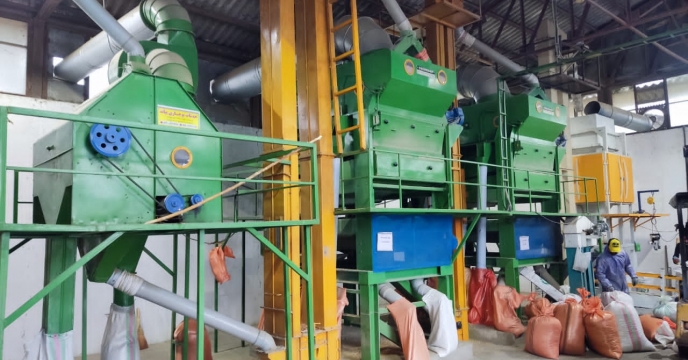 بوجاری بذرهای پایه در گیلان کلید خورد؛ قدردانی مدیر شرکت از عوامل اجرایی 