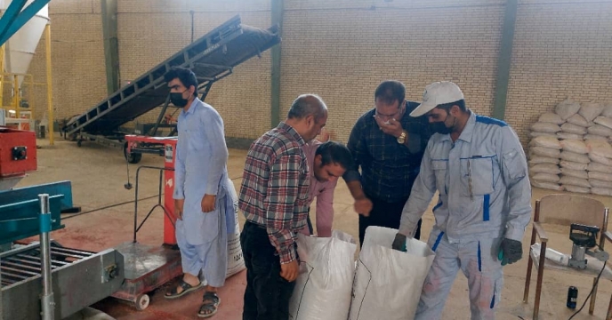 بازدید از کارخانه بوجاری شرکت خدمات حمایتی کشاورزی استان سیستان و بلوچستان  