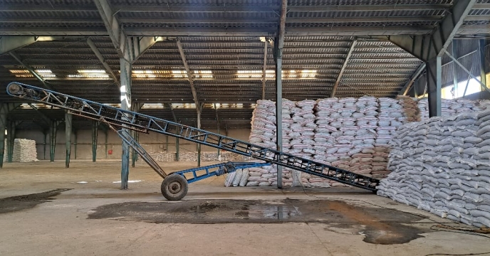 توزیع بیش از 50 تن کود کشاورزی کمک به تولید اقتصادی کشاورزان شهرستان دهاقان در دی 1404