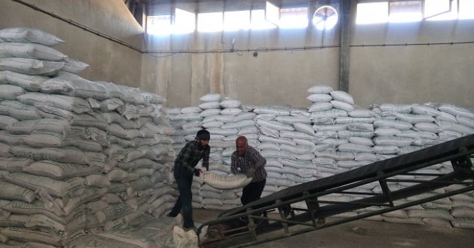 تخصیص 18 هزار تن کود کشاورزی اوره به کارگزاران استان زنجان بر اساس برش کودی بهاره 