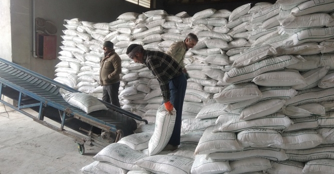 تامین و توزیع بیش از 363 تن نهاده کشاورزی در شهرستان ماهنشان در راستای افزایش تولید و حمایت از کشاورزان 