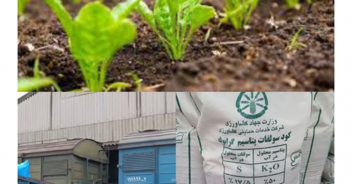 توزیع  مقدار تقریبی۴۴۸ تن انواع کود کشاورزی یارانه ای برای مصرف مزارع  چغندرقند در چهار ماهه سال۱۴۰۴