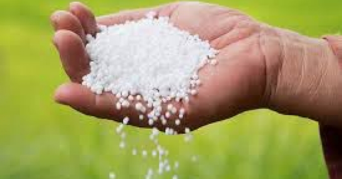 تامین و توزیع مقدا۱۹۹تن کود اوره برای کشاورزان شهرستان علی آباد کتول در تیر ماه سال جاری  