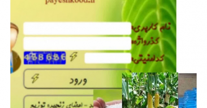 توزیع مقدار۲۶۴ تن‌‌کود یارانه ای برای مصرف مزارع  ذرت علوفه ای در تیرماهه سال جاری
