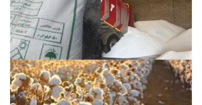 توزیع بیش ازیک‌هزارو۶۷۰ تن انواع کود کشاورزی یارانه ای برای مصرف‌مزارع پنبه در تیر ماهه سال سال۱۴۰۴