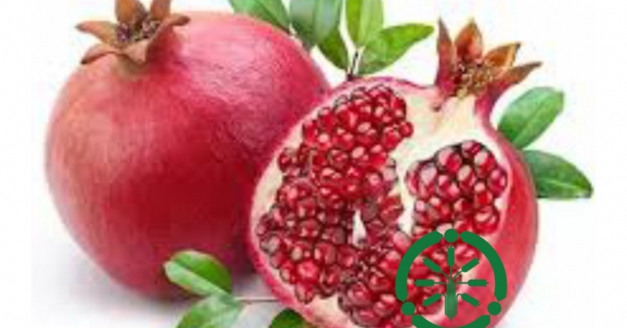توزیع مقدار۳۴۵ تن‌ تن انواع کود یارانه ای برای باغات  انار در شش ماهه سال۱۴۰۴