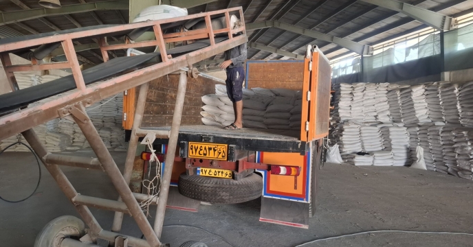 تامین میزان 205 تن انواع کود کشاورزی  در راستای تقویت زیرساخت کشاورزی در منطقه جنوب کرمان؛