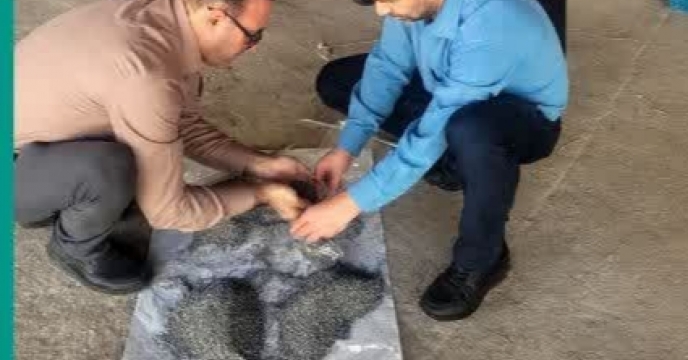 بازید کمیته کارگروه پایش کودی  از انبار کود شرکت مزرعه نمونه ارتش و کارگزاران کود شهرستان گرگان