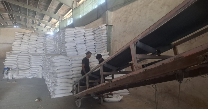 میزان399 تن کود ازت، فسفات و پتاس در راه کشاورزان جنوب استان کرمان؛ توزیع الکترونیکی با نظارت کامل