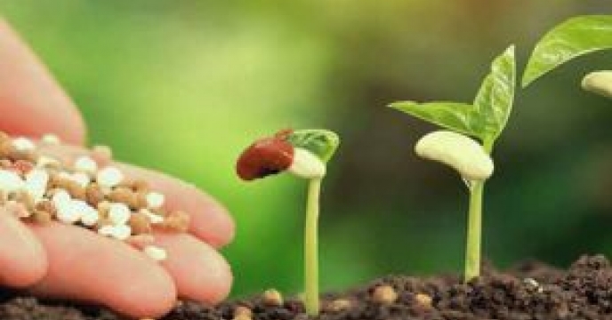 سالیانه ۳ میلیون تن در بخش کشاورزی مصرف می شود