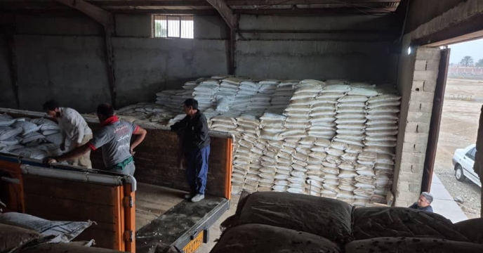 تامین میزان 400 تن انواع کود کشاورزی برای کارگزاران جنوب استان کرمان