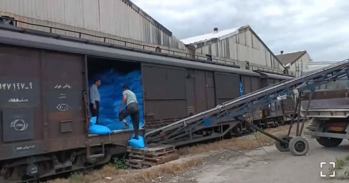 توزیع  مقدار 3 هزارو 948 تن کود  اوره برای ارتقاء بهرهوری محصولات زراعی و باعی کشاوورزان شهرستان  گالیکش در نه ماهه سال جاری