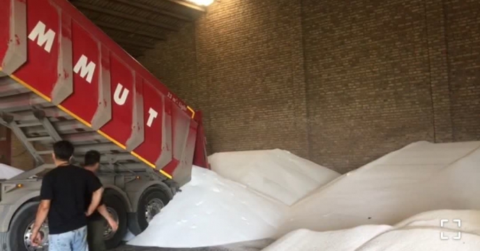 حمایت همه جانبه به کشاورزان بندر گز با نامین و توزیع کود اوره در نه ماهه سال جاری