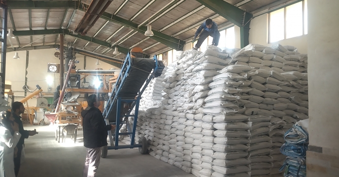 ارسال ۵۳۰۰ تن کود پتاس تولیدی قم به سایر استان‌ها