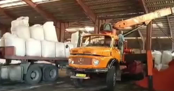 کشاورزان و باغداران استان گلستان  از کود حمایتی پتاسه در ده ماهه سال جاری بهره مند شدند