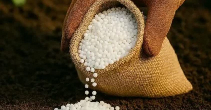 مصرف علمی ازت در مراحل رشد و رعایت اصول آبیاری؛ از هدررفت نیتروژن جلوگیری کنید