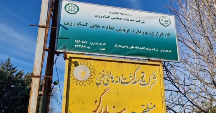 بازدید و‌پایش حضوری از کارگزاری کود شرکت توسعه کشت دانه های روغنی در شهرستان بندرگز