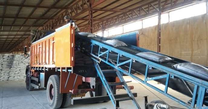 تامین و توزیع 14 هزار تن کود اوره توسط شرکت خدمات حمایتی کشاورزی استان زنجان 