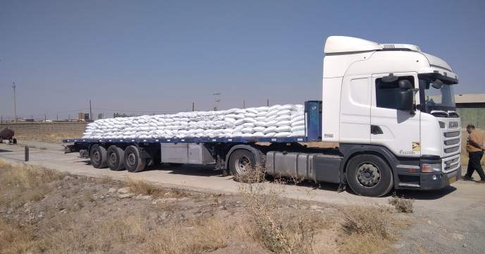 تامین و توزیع حدود 380 تن کود فسفات برای افزایش بهره وری مزارع در استان زنجان